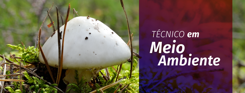 curso tecnico meio ambiente